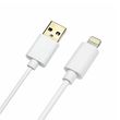 cabo-usb-iphone-2-metros-branco-dualcomp-105458
