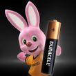 Pilha-Alcalina-Palito-AAA-2-Unidades-Duracell---91126-2