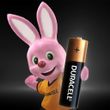 Pilha-Alcalina-Palito-AA-2-Unidades-Duracell---91125-2