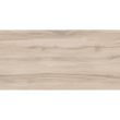 Porcelanato-Acetinado-Caja-60x120-cm-cx-288m²-Delta-Nova---108706